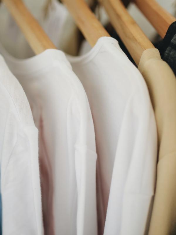 Cotton organic sweatshirt